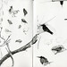 Elizabeth Graff Photo 29