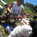 Willie Pride Photo 9