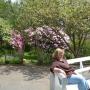 Teresa Burdick Photo 18