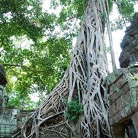 Chau Huynh Photo 20