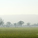 Melvyn Call Photo 4