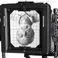 Neil Staples Photo 6