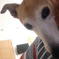 Freddie Richards Photo 4