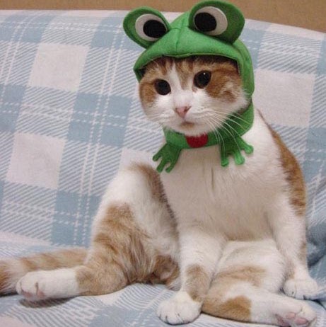 Midhun Antony Photo 13