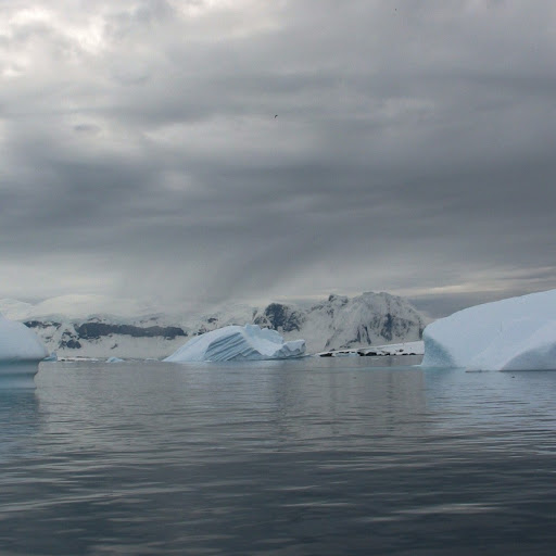 Christina Morey Photo 4