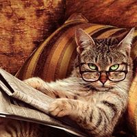 Steven Howard Photo 51 Steven Howard Photo 51