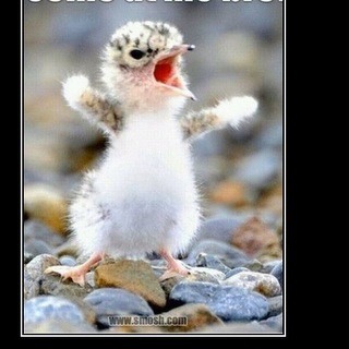 Michael Gage Photo 15