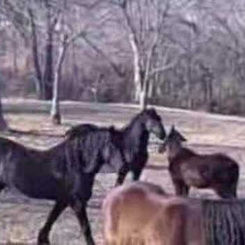 Jamie Knight Photo 19