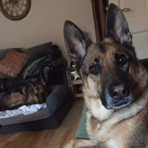 Andy Clements Photo 32