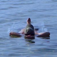 Bob Schroeder Photo 23