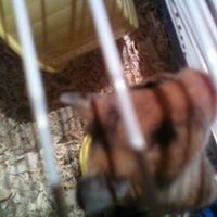 Teddy Richardson Photo 6