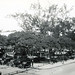Joseph Cardoso Photo 34