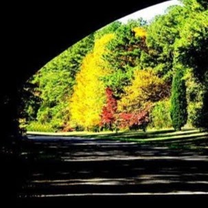 Scott Miles Photo 30