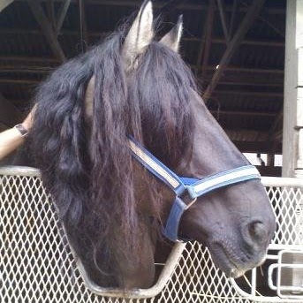 Sophia Brooks Photo 21