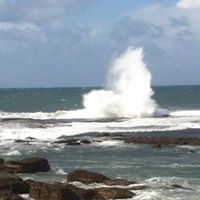 Diane Cowan Photo 17