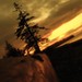 Douglas Birch Photo 8