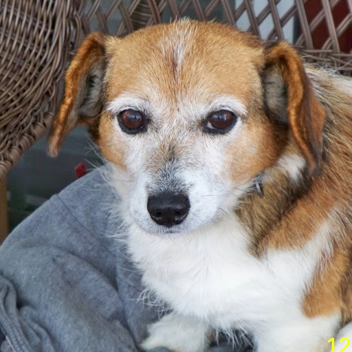 Terri Morris Photo 37