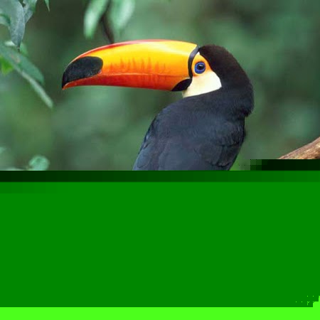 Dianne Hughes Photo 15