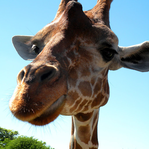 Colleen Farrell Photo 30