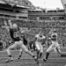 Michael Stull Photo 17