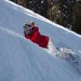 Jill Lewis Photo 28