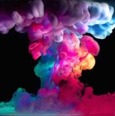 Shawn Guthrie Photo 7