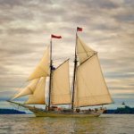 Frederick Parsons Photo 2