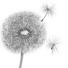 Joan Long Photo 25