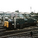 Gordon Cross Photo 6
