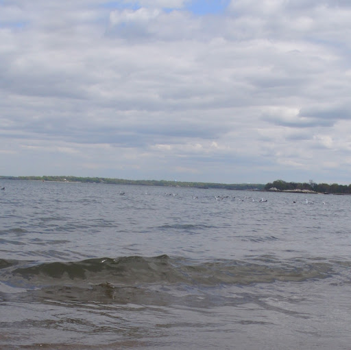 Theresa Pisciotta Photo 6