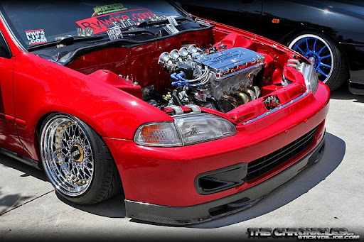 Luis Mosqueda Photo 8