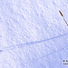 Timothy Snow Photo 17