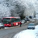 Stuart Snow Photo 27