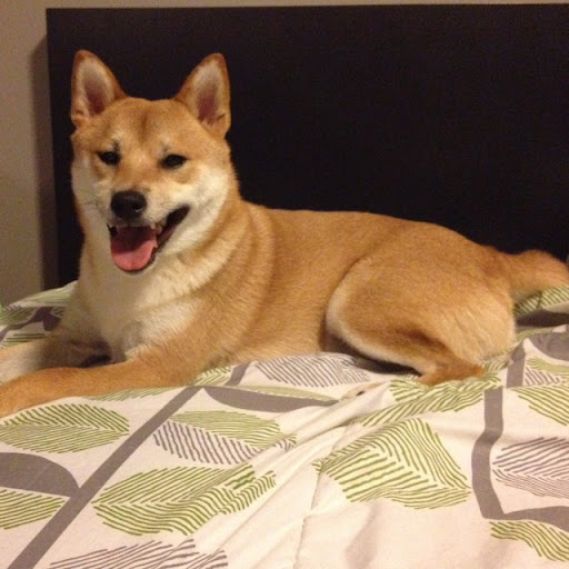 Karen Harrison Photo 8