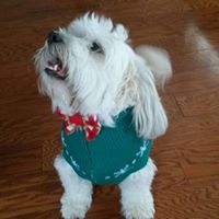 Lorraine Lester Photo 28