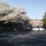 Kathleen Burdick Photo 10