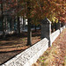 Edward Walls Photo 12