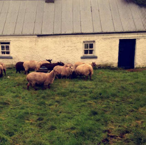 Tracy Dunne Photo 32