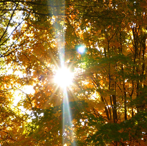 Gloria Rich Photo 16