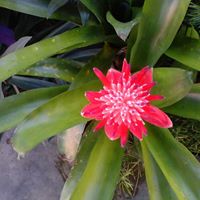 Margarita Borges Photo 17