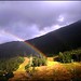 Norma Summers Photo 30