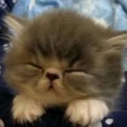 Xiaofeng Wu Photo 18