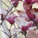 Kristin Bloom Photo 23