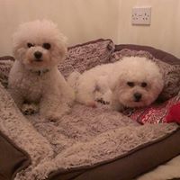 Jill Meredith Photo 22