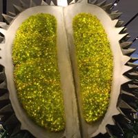 Samuel Chew Photo 14