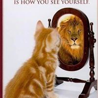 Walter Daniel Photo 17