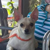 Debbie Dyer Photo 32