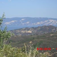 Steve Dailey Photo 11