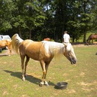 Robyn Beard Photo 21