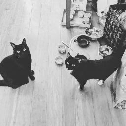 Stephanie Peterson Photo 38